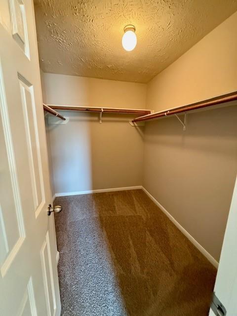 Building Photo - 28834 Red River Loop