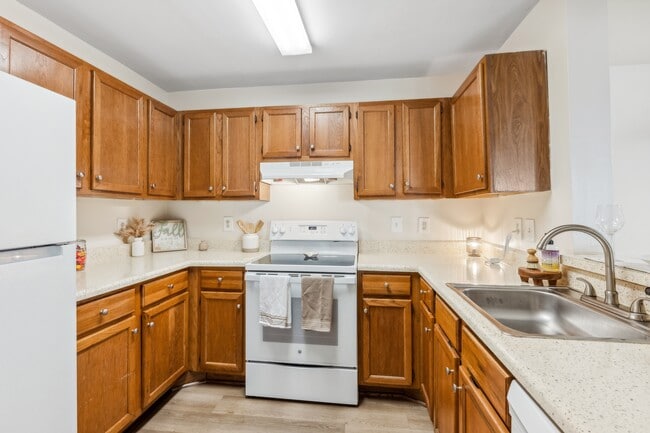 Building Photo - Riverwoods Apartments, Riverwoods at Lake Ridge Apartments & Riverwoods at Towne Square Townhomes