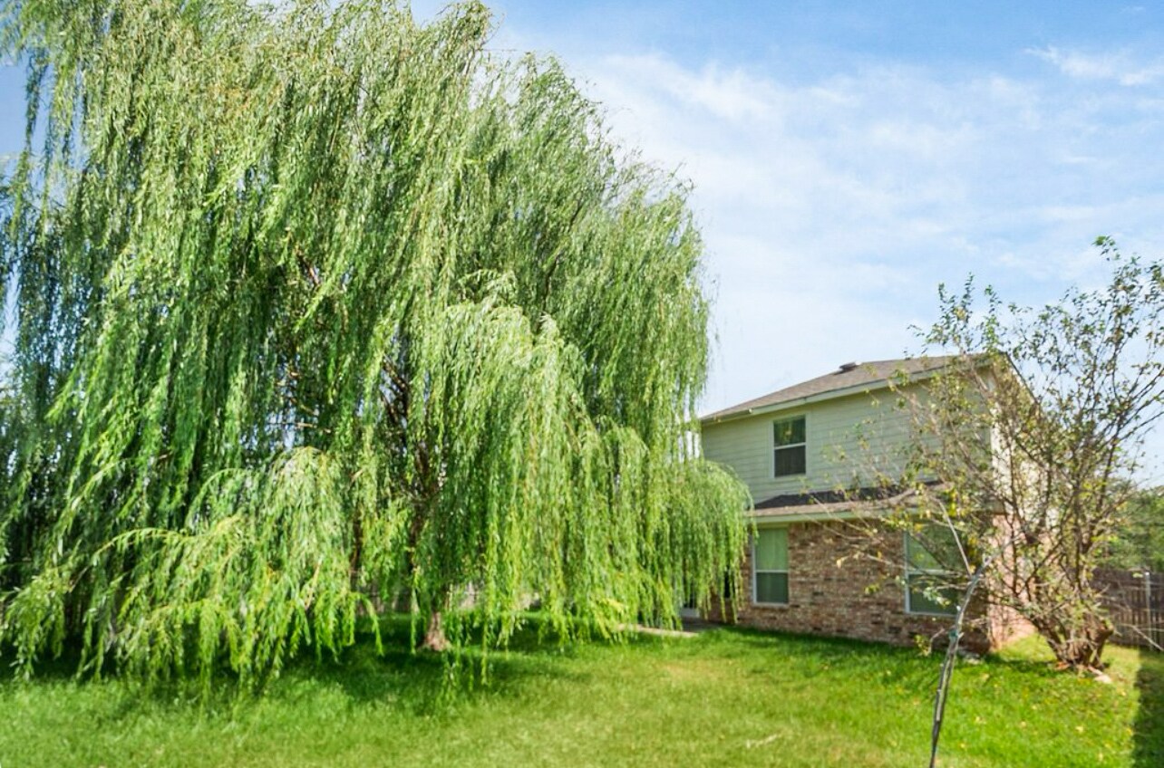 Building Photo - 11705 Pinyon Pine Dr