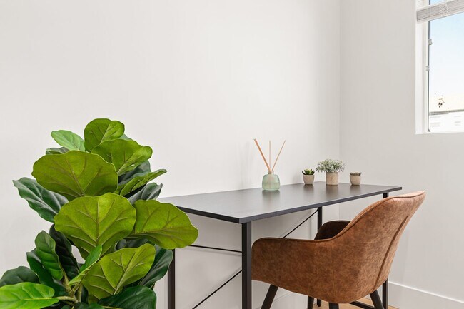 Building Photo - A 3 Bedroom apartment with ensuite bathrooms, common areas and a fully functional kitchen at 1736...