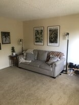 Building Photo - 1196 Alta Vista Ct