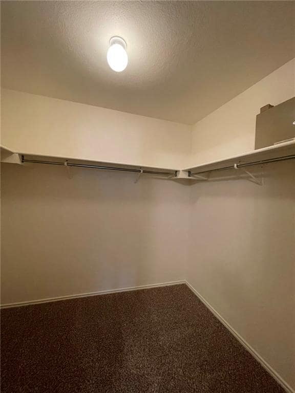 Building Photo - 8429 Steamline Cir