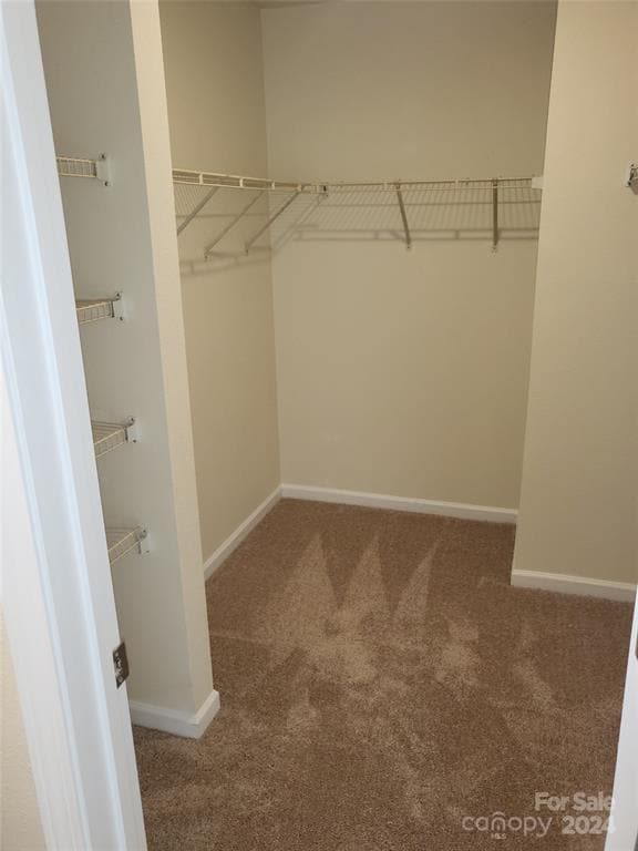 Building Photo - 2440 Mint Thistle Ct