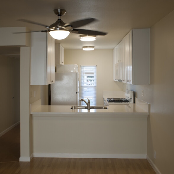 Building Photo - 426 Orange Blossom