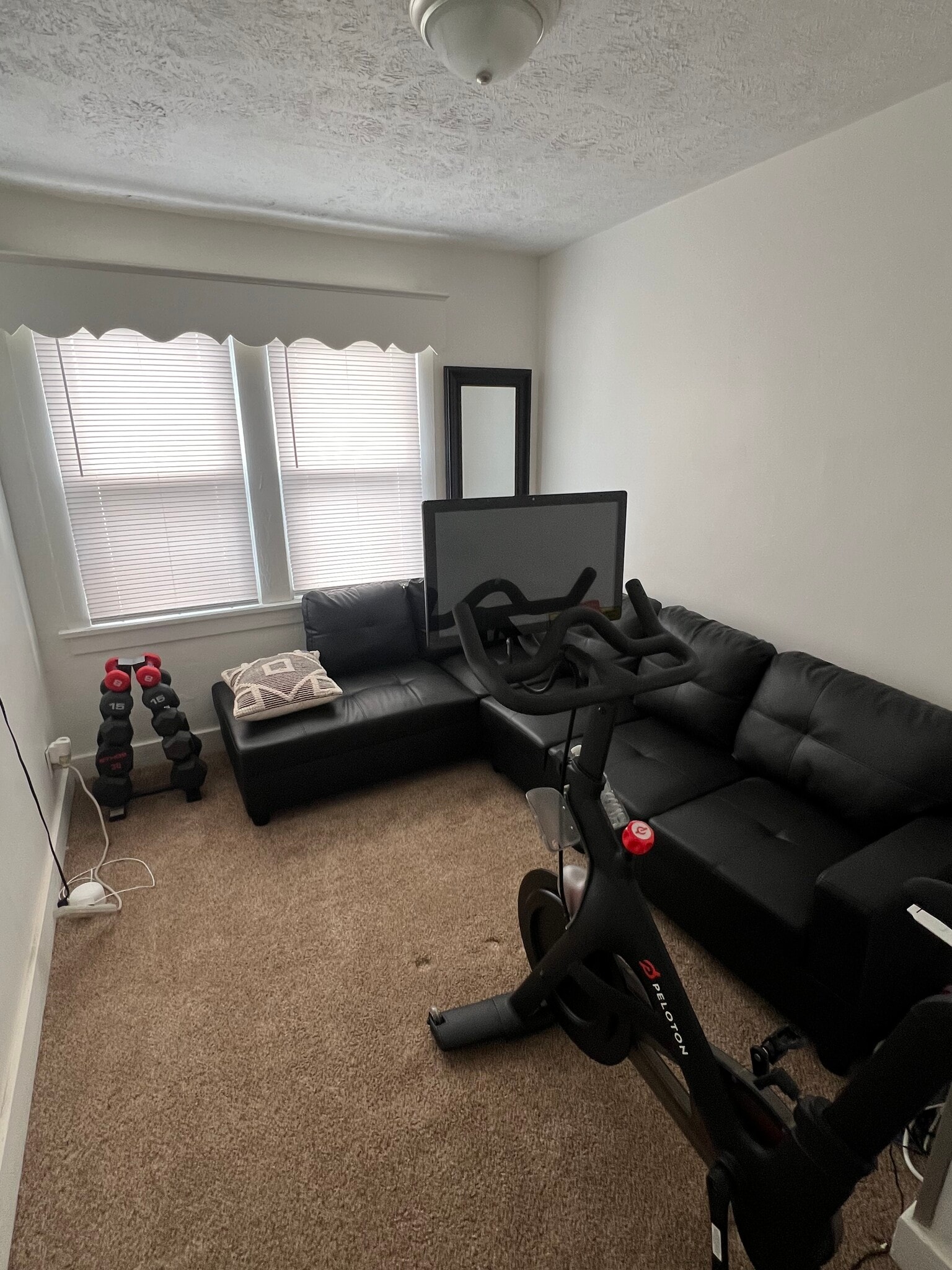 exercise room with pelaton - 313 W 15th Ave
