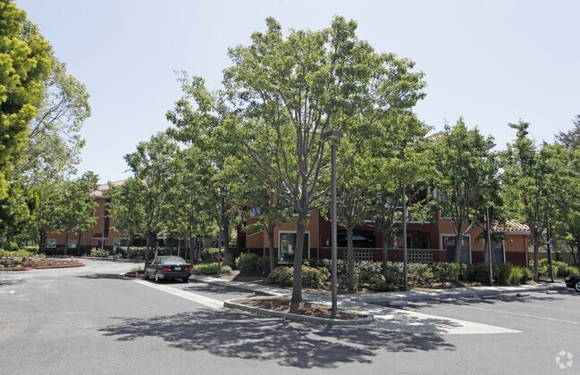 Primary Photo - Rosewood Terrace