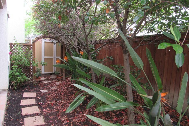 Building Photo - Gorgeous 5 Bed/4.5 Bath with Office in Perfect San Ramon Location