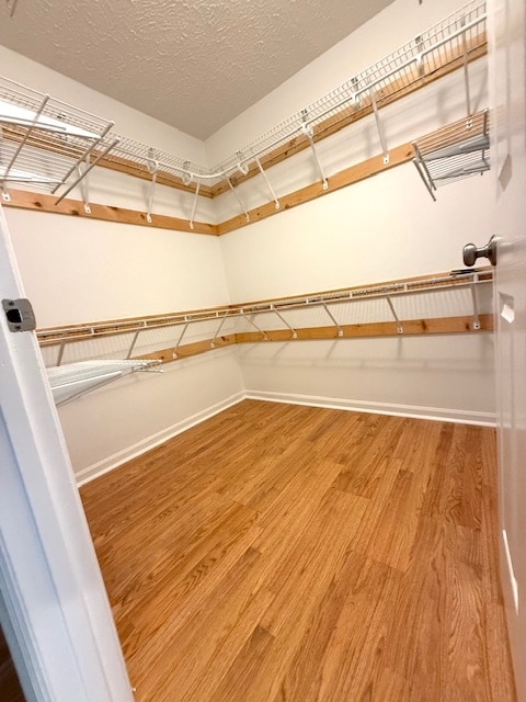 Building Photo - 441 Westmoreland Dr