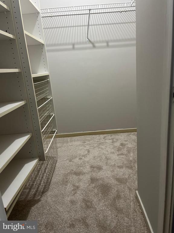 Building Photo - 3105 Trinity Ct