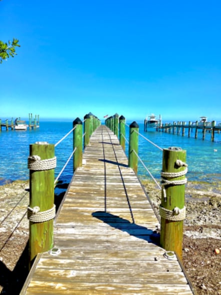 Building Photo - 232 Tarpon St