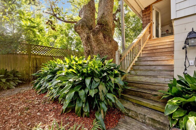 Building Photo - 1338 Wolfe St