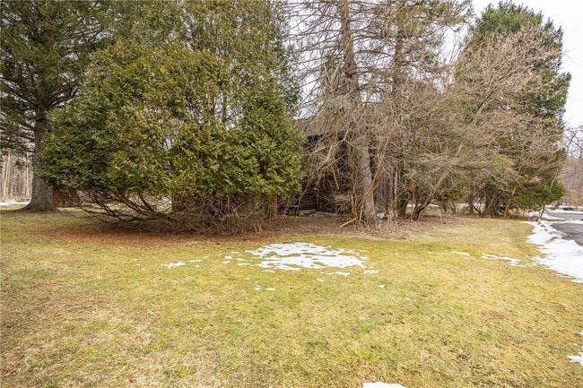 Building Photo - 1874 Blossom Rd