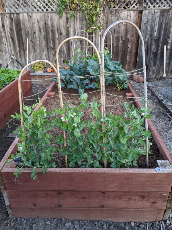 Building Photo - 2877 Collier Ave