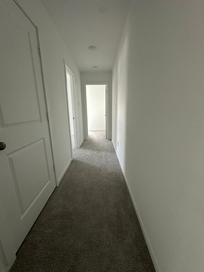 Building Photo - 939 Pertuso Ln