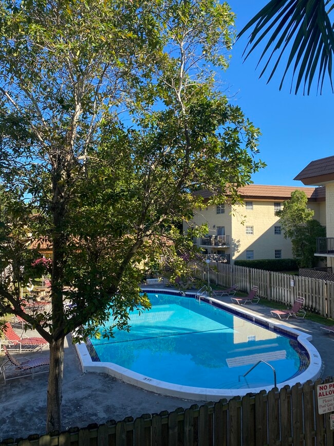 Pool - 8600 SW 109th Ave