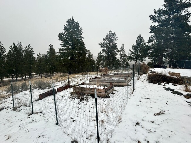 Building Photo - Cozy 1-Bed Cabin on 30 Private Acres – Incredible Views & Outdoor Access