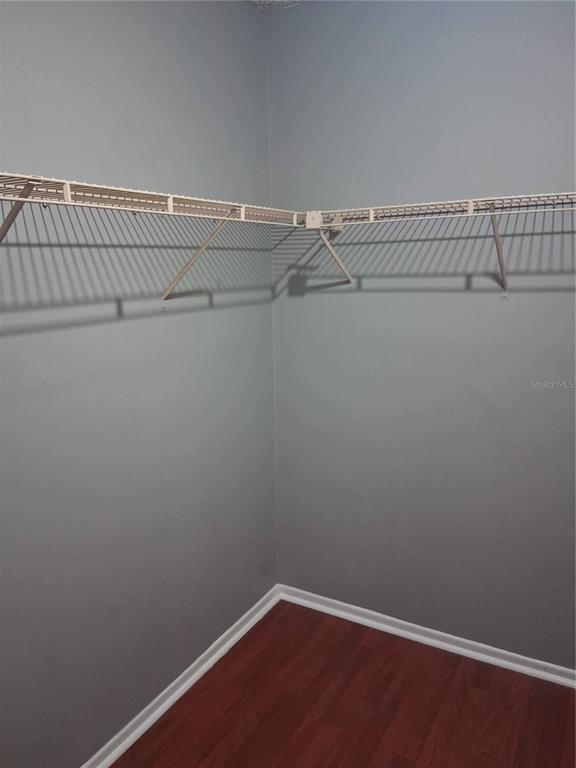 Building Photo - 2561 Grassy Point Dr