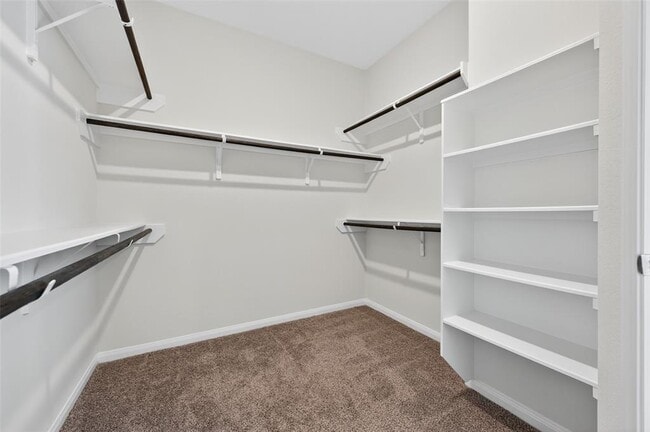 Building Photo - 206 White Wing Ln