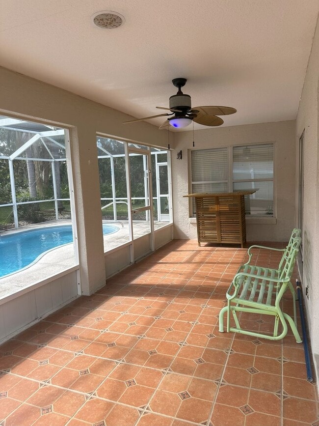 Building Photo - Palm Harbor Pool Home!