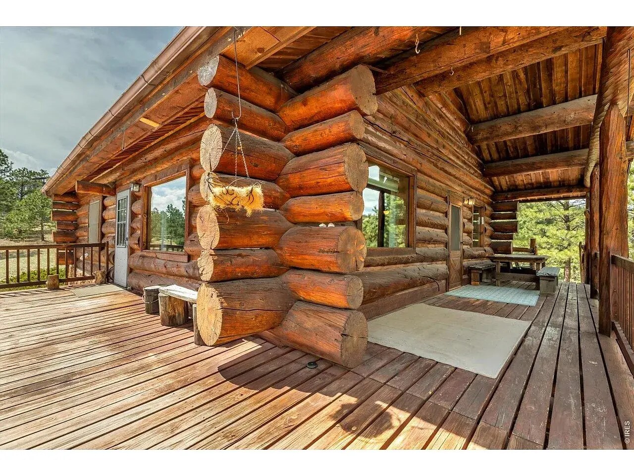 Building Photo - 679 Cougar Dr