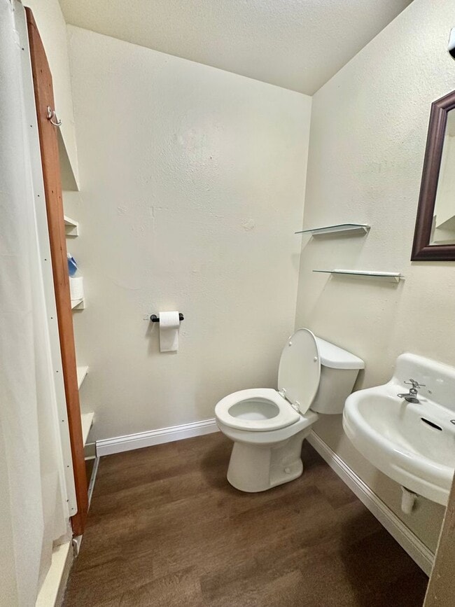 Building Photo - 1 Bedroom 1 bath Loft Style Single Family Home with large Fenced backyard.