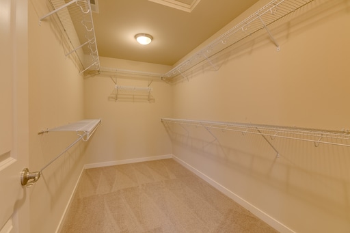 Building Photo - Beautiful & Spacious Kenmore Home for Rent!