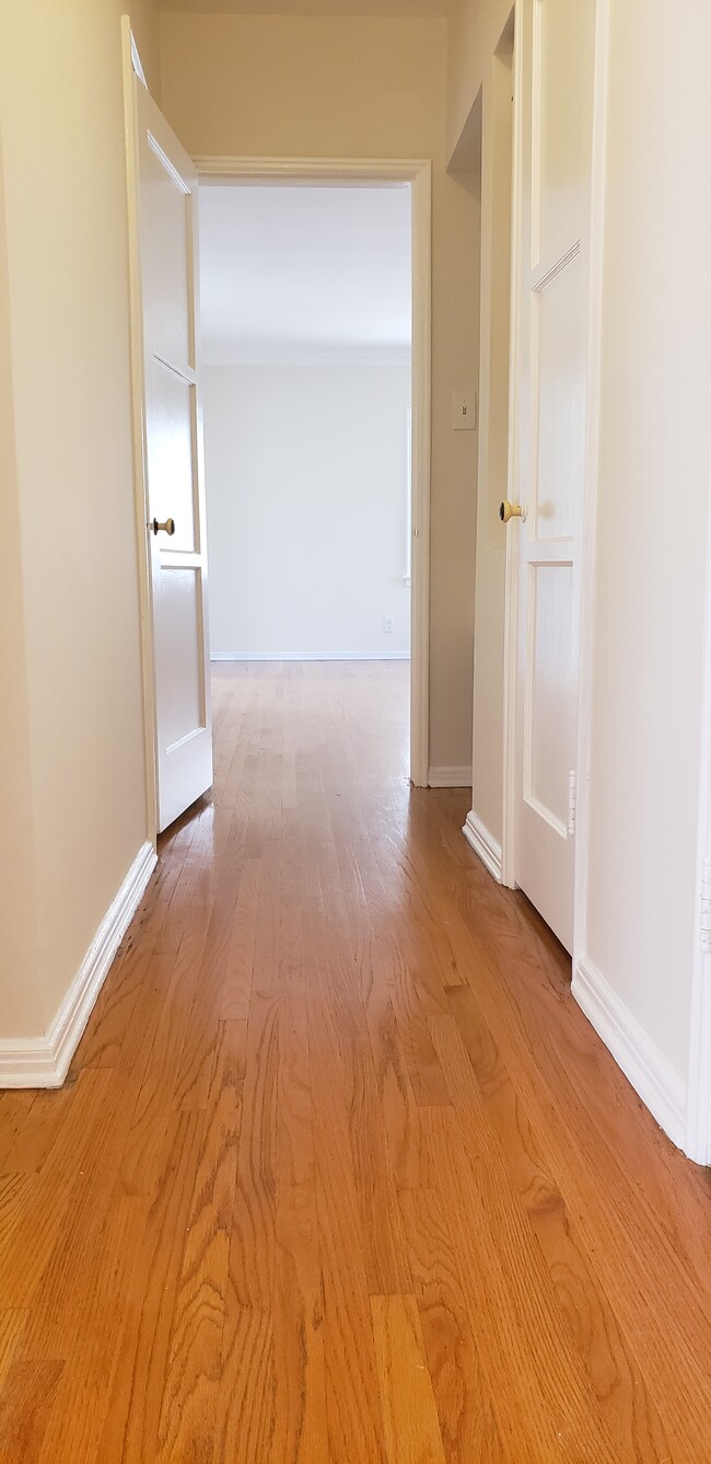 Hallway to the living room - 2049 N Vermont Ave