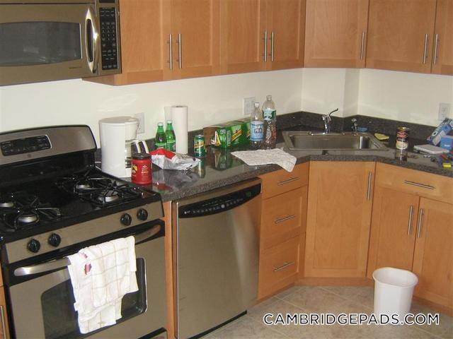 Building Photo - 60 Brattle St