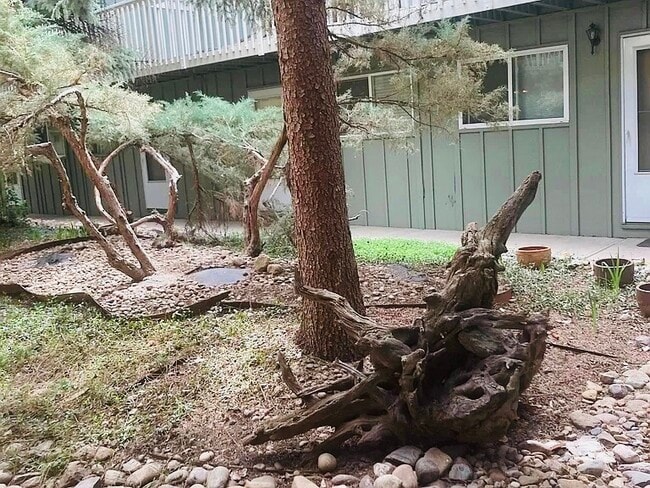 Building Photo - 1615 Cottonwood Dr