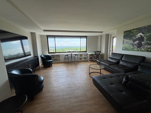 Living Room - 1011 Arlington Blvd