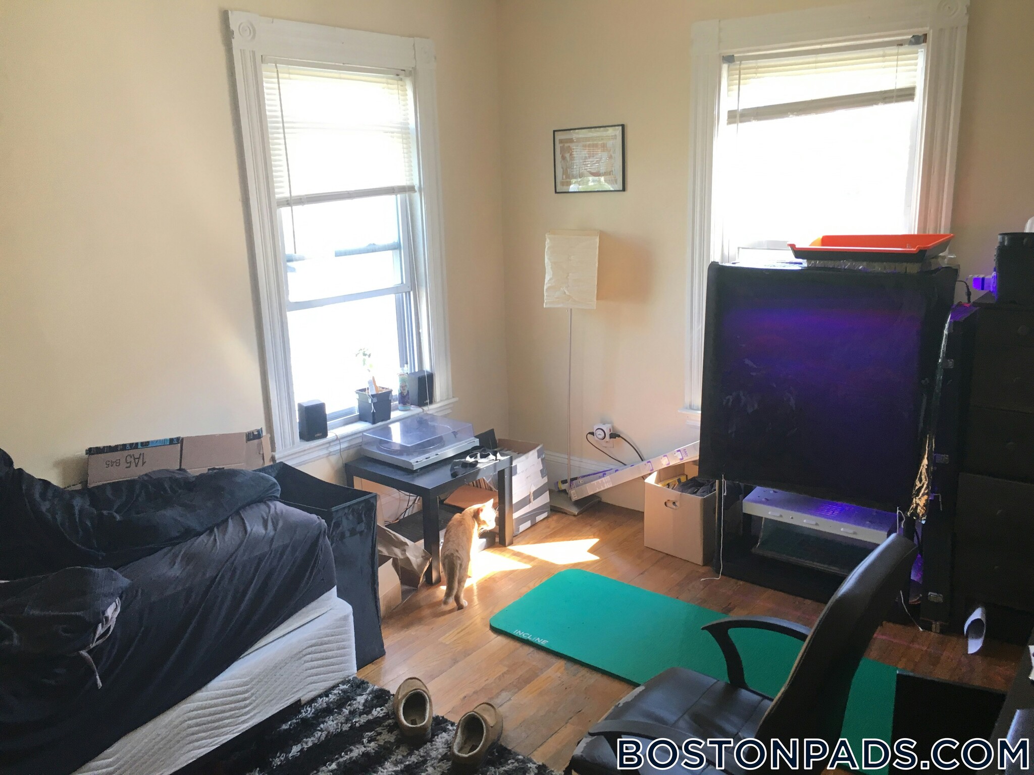 Building Photo - 256 Summer St