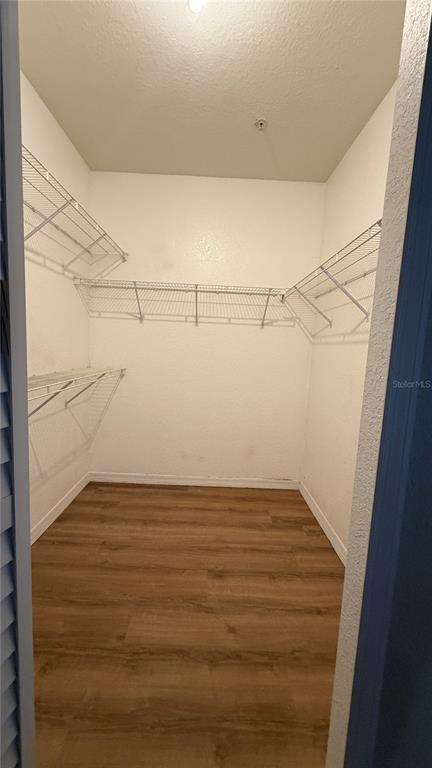 Building Photo - 2537 Maitland Crossing Way