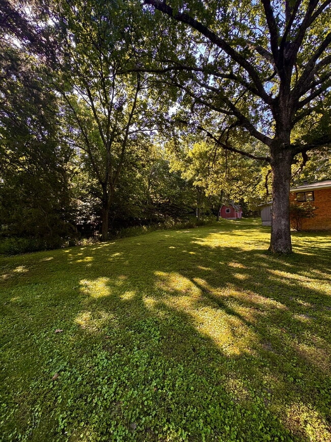 Building Photo - 9108 Bluff Dr