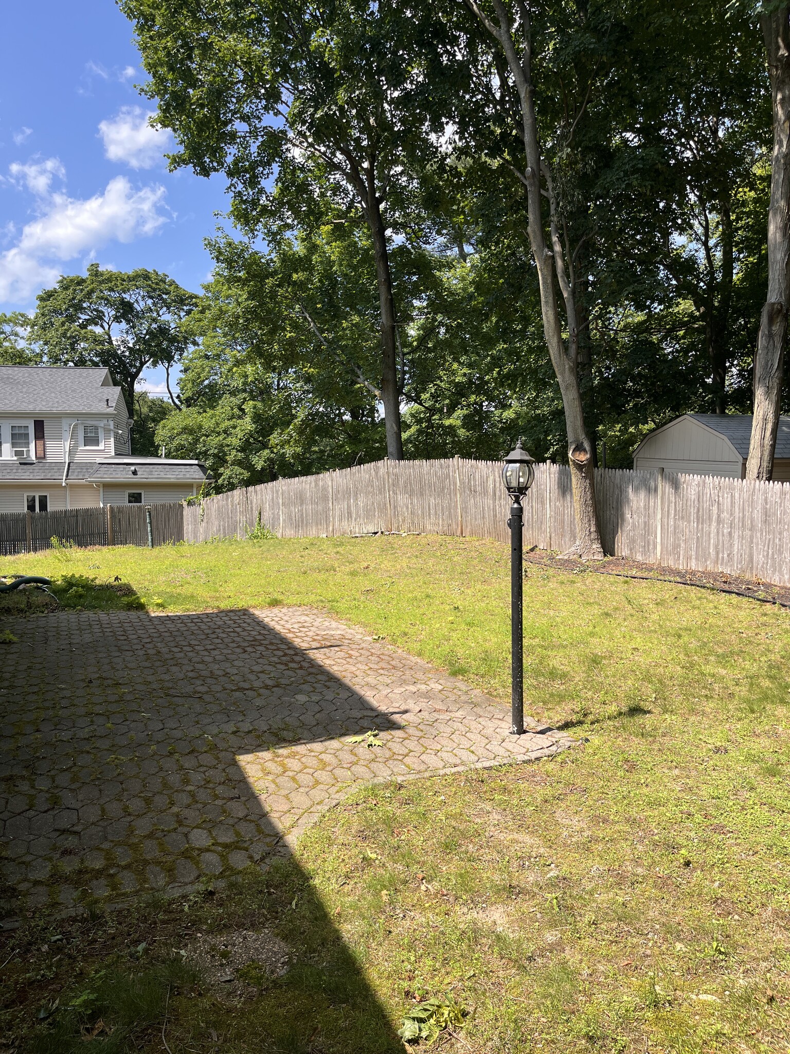 yard - 22 Douglas Rd