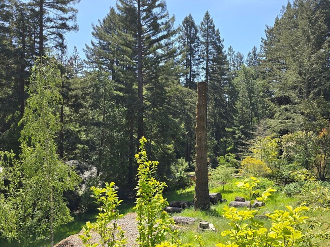 Building Photo - Large and stunning home in rural Sebastopol!