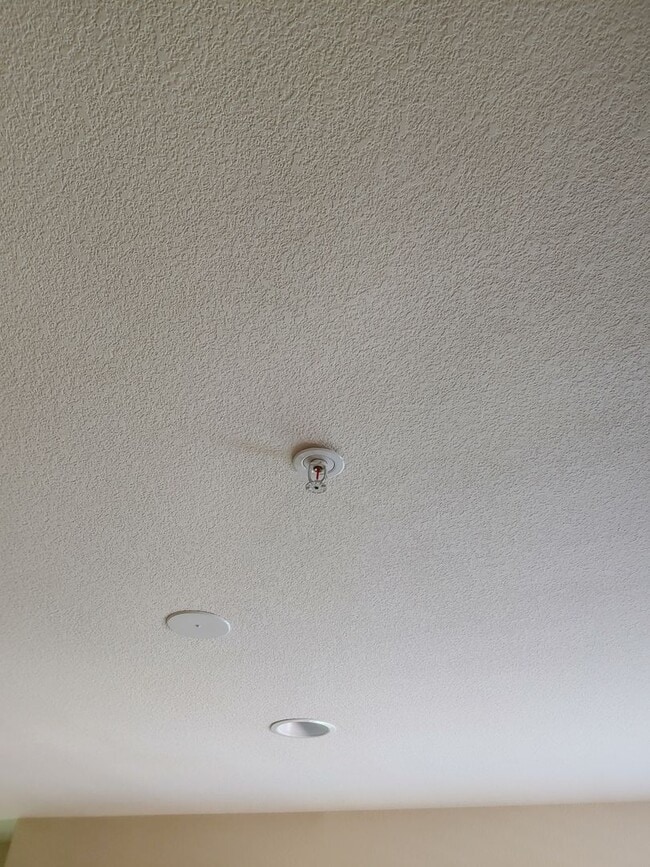 Building Photo - Gorgeous Spacious TownHome in Downtown Mou...