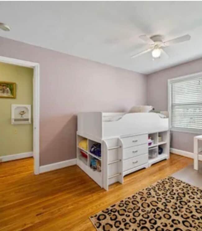 Building Photo - St. Matthews  3 Bed 2 Bath Stone Cape Cod Home