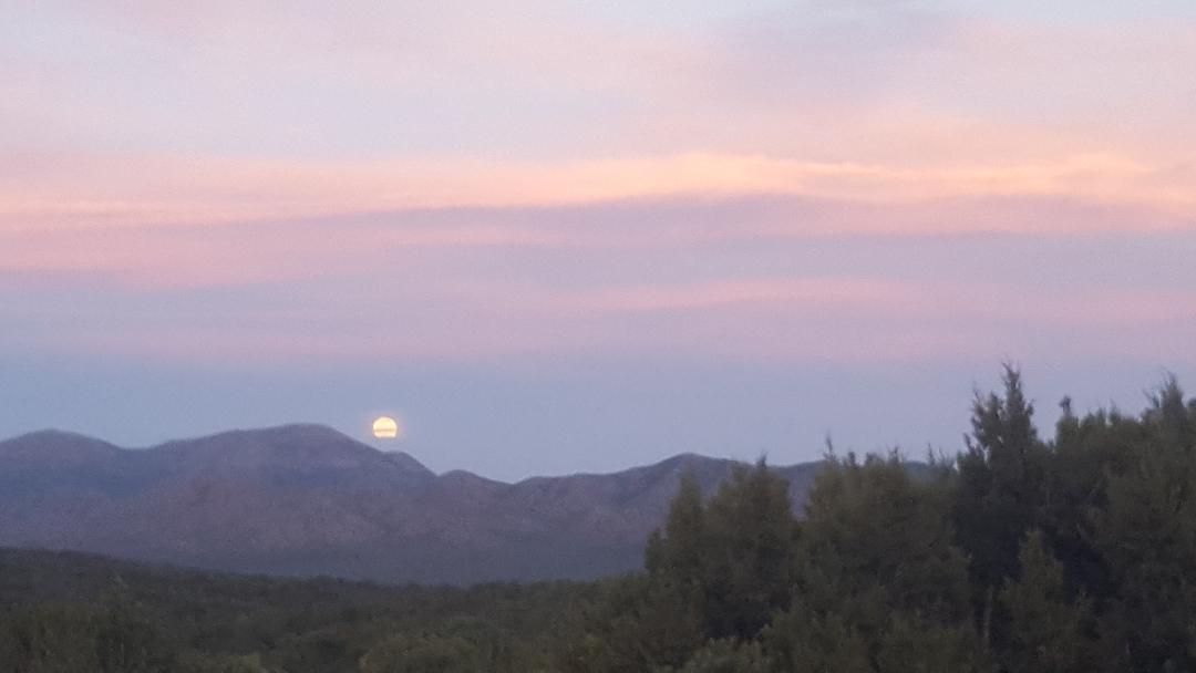 Beautiful views from back patio - 6 Vista Bonita Dr