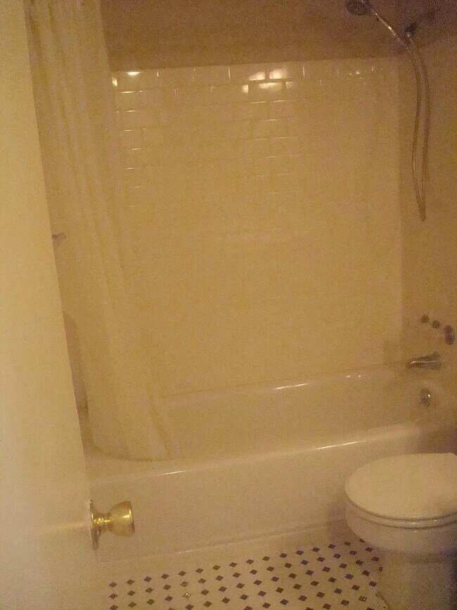 Bathroom - 415 N Halifax Ave