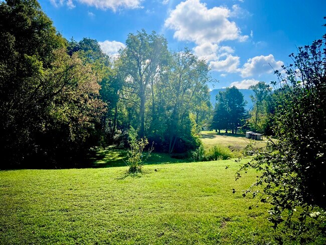 Back Yard - 410 Isbill Rd