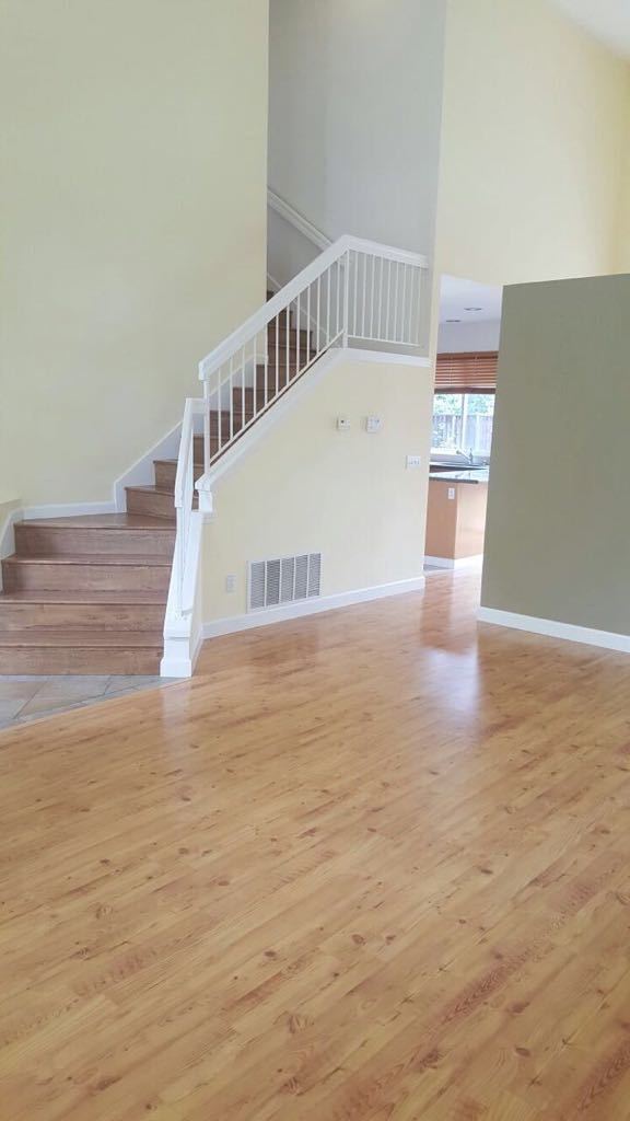 Building Photo - Newer Evergreen home faces neighborhood park - Great Evergreen schools