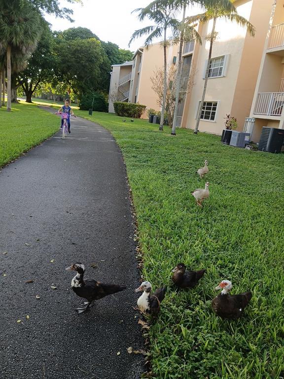 Building Photo - 15300 SW 106th Terrace