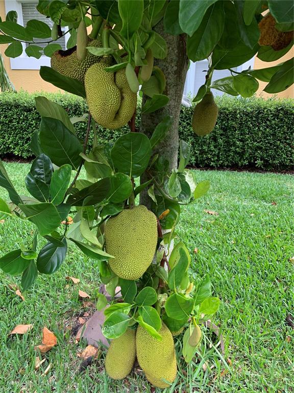 Building Photo - 9331 Southern Breeze Dr