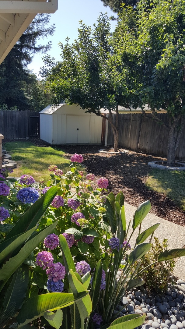 Building Photo - South Natomas One Story Great Location 4 b...