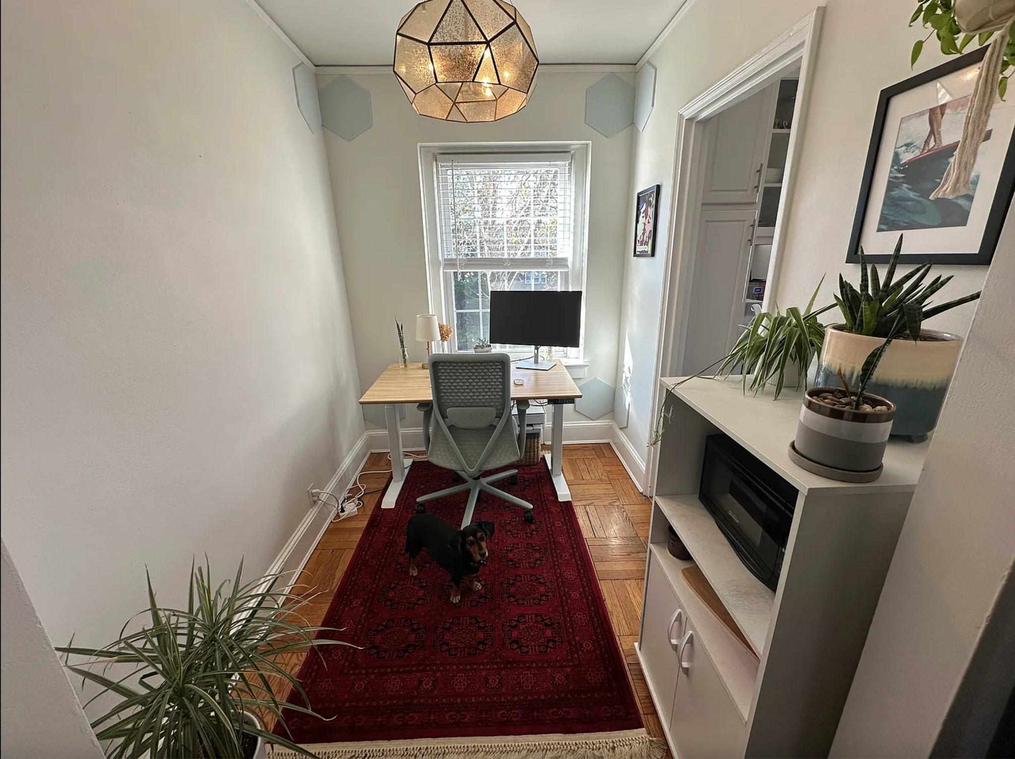 Building Photo - 217 Prospect Ave