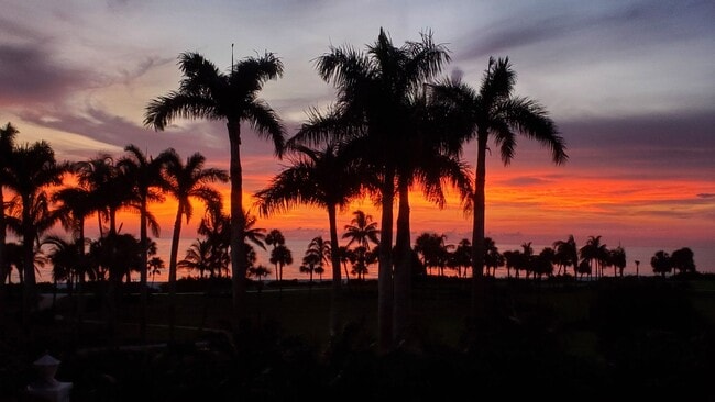 Building Photo - 4021 Gulf Shore Blvd N