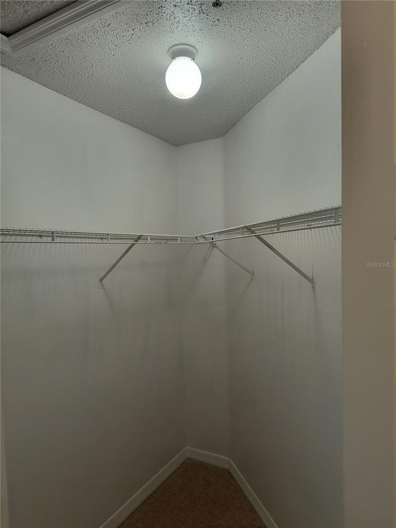 Building Photo - 1657 Windsor Oak Ct