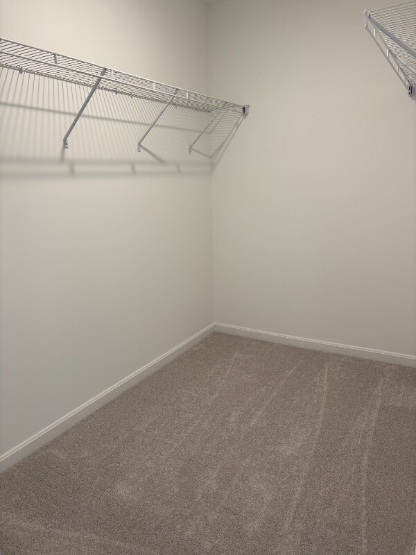 Building Photo - 2003 Lyndon Green Cir