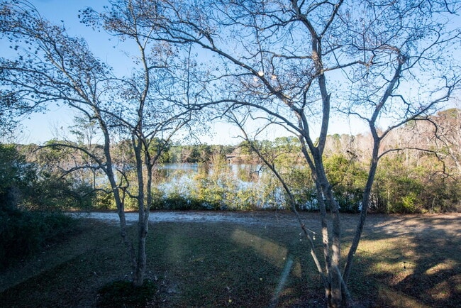 Building Photo - Mid Town Location with a Water View
