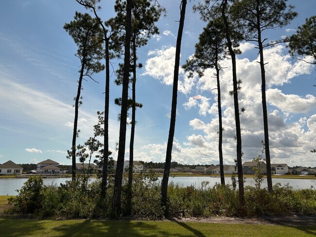 Building Photo - 1237 Pampas Grass Dr